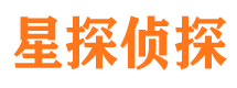 老城市私家侦探